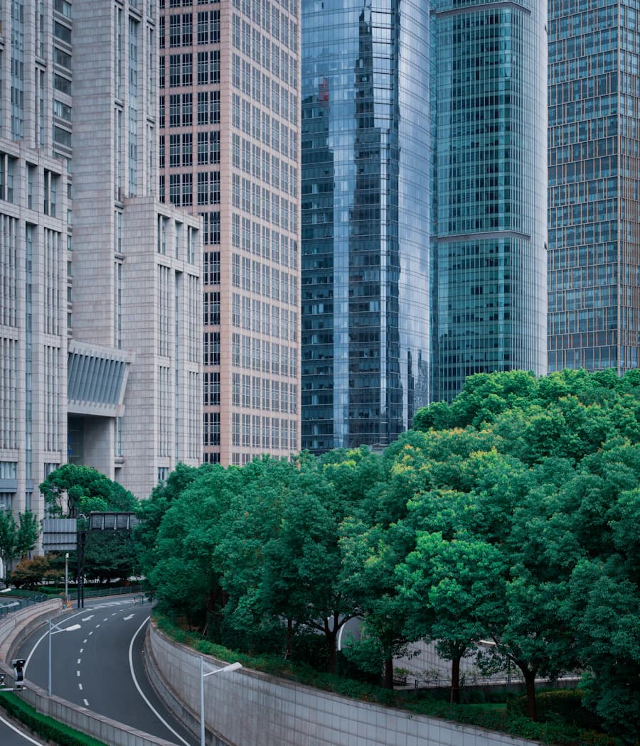 An urban skyline illustrating the relationship between buildings and their city